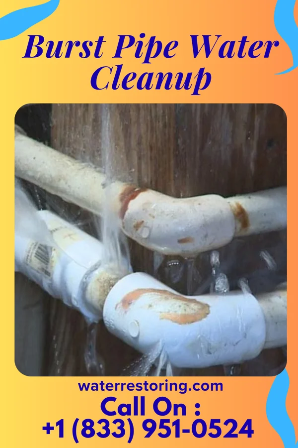 Burst Pipe Water Cleanup in Dunbar, VA