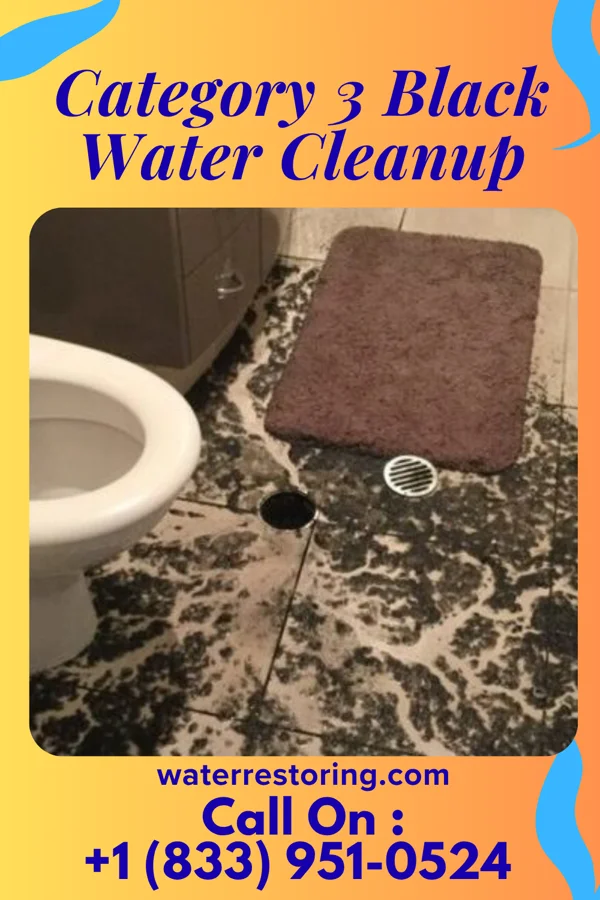 Category 3 Black Water Cleanup in Dunbar, VA