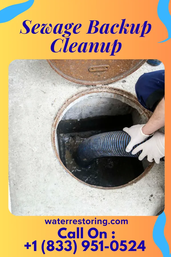 Sewage Backup Cleanup in Dunbar, VA