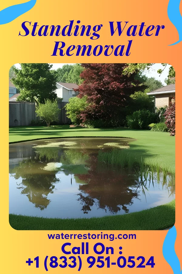 Standing Water Removal in Dunbar, VA